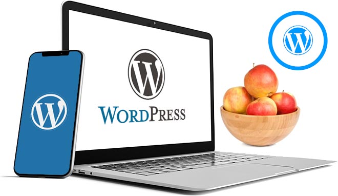 WordPress Websites Canberra
